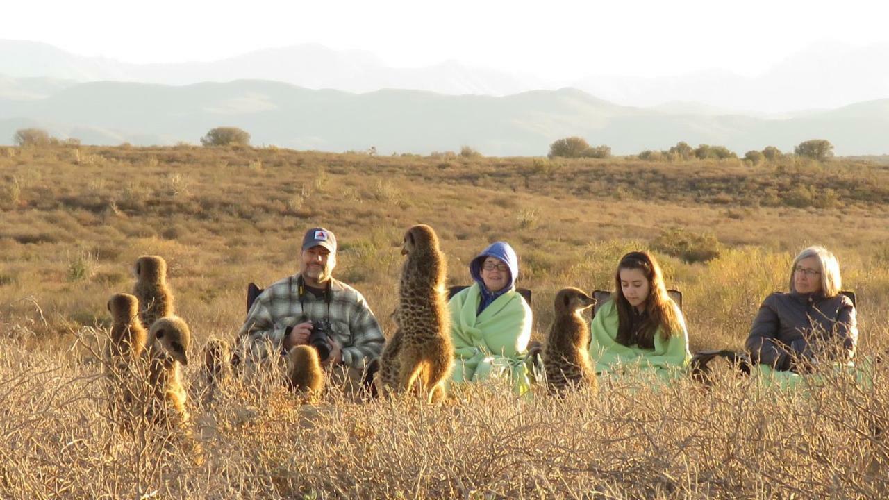 De Zeekoe Guest Farm Βίλα Oudtshoorn Εξωτερικό φωτογραφία